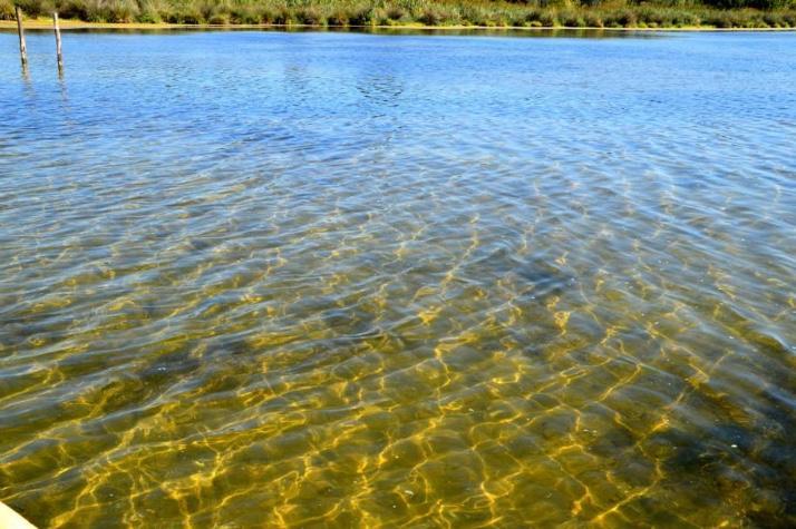 Casale Villa Giulia Marina Di レージナ エクステリア 写真